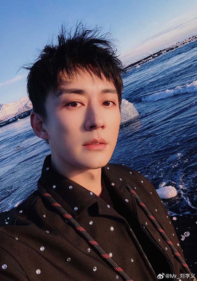 หลิวเสวียอี้ ประวัติ Liu Xue Yi