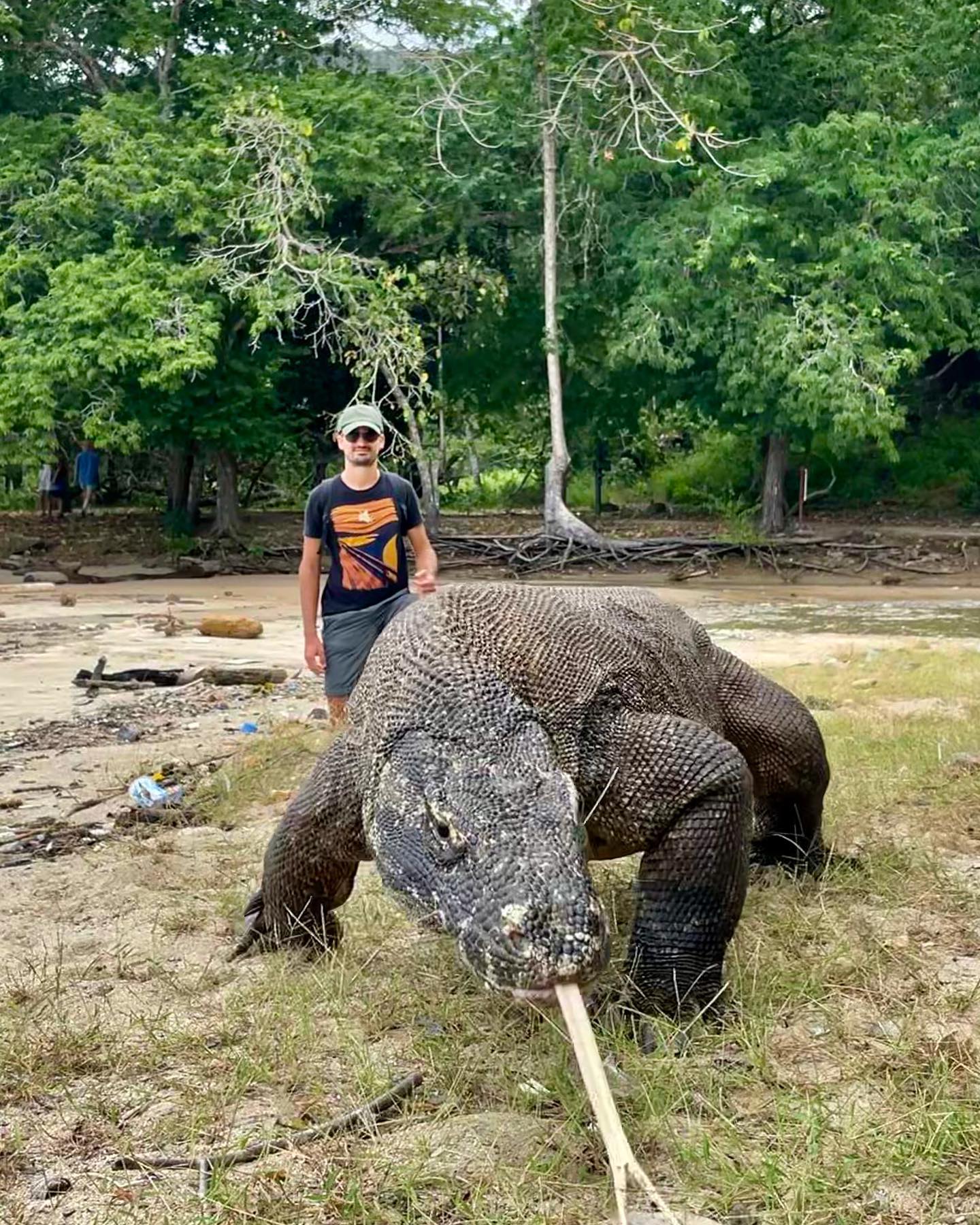 มังกรโคโมโดยักษ์