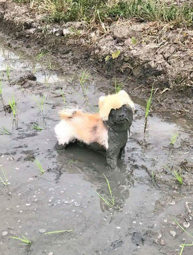 ซิ่งมอเตอร์ไซค์