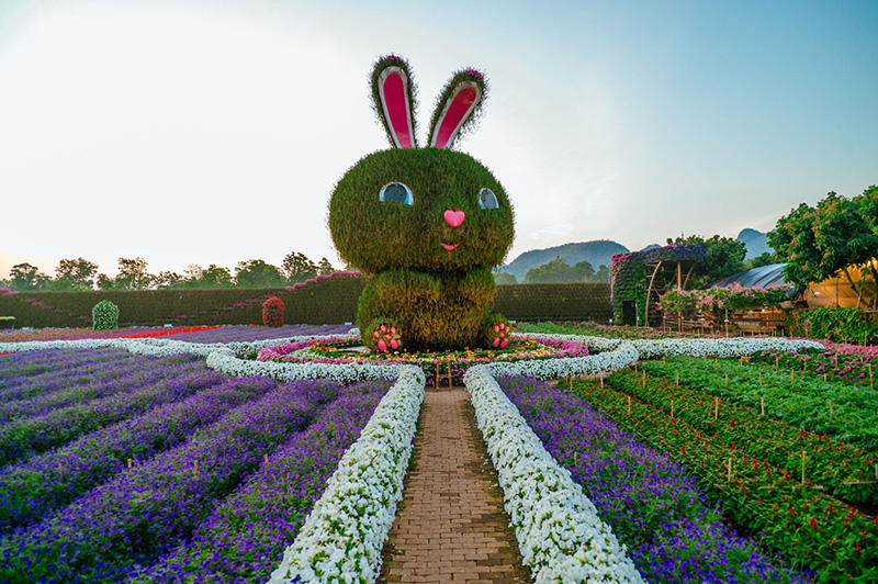 ที่เที่ยวเดือนมกราคม 2568 Maple Gardens สวนเมเปิ้ล จังหวัดกาญจนบุรี