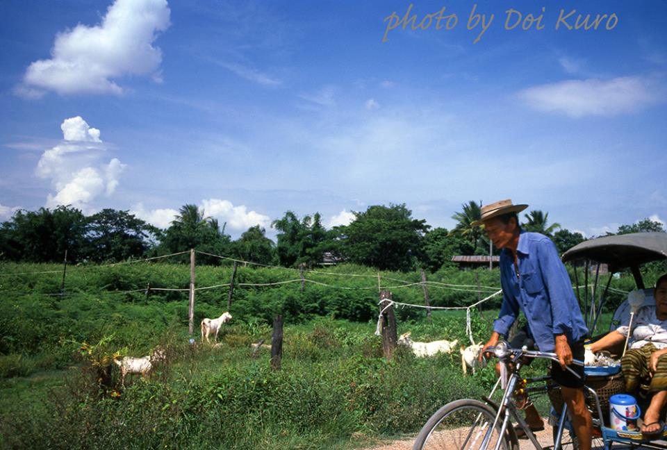 เชียงราย