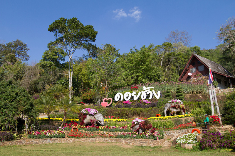 เที่ยวดอยช้าง