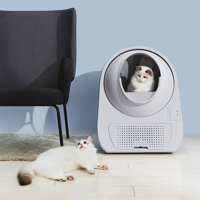 Xiaomi CATLINK