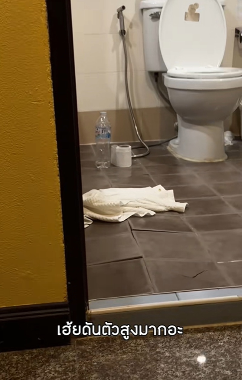 เจนิส เจณิสตา