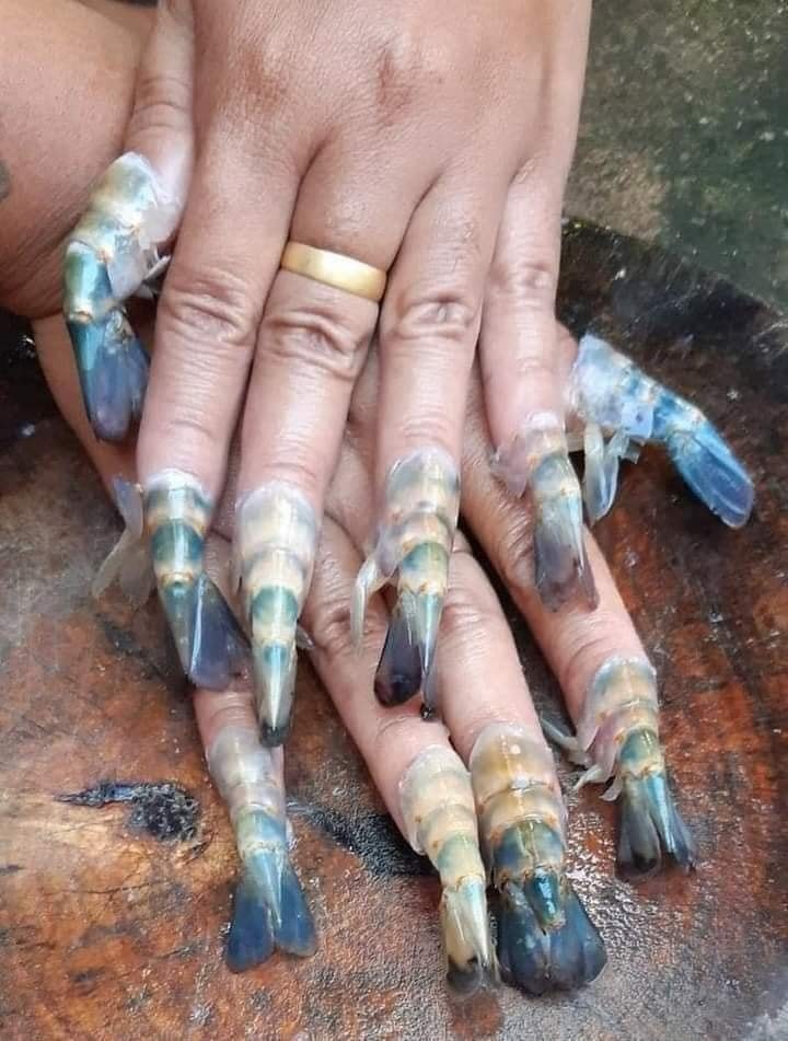 หางกุ้ง