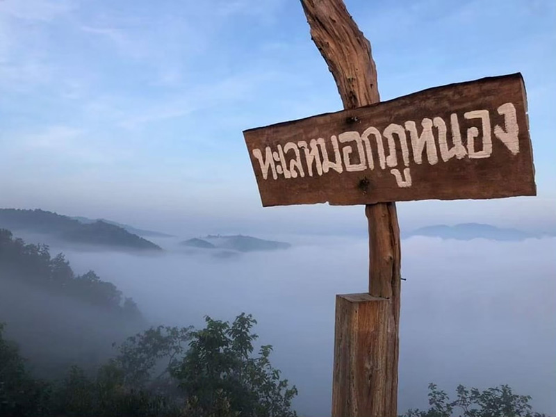 ที่เที่ยวเดือนมกราคม 2568 จุดชมวิวทะเลหมอกภูหนอง จังหวัดหนองคาย