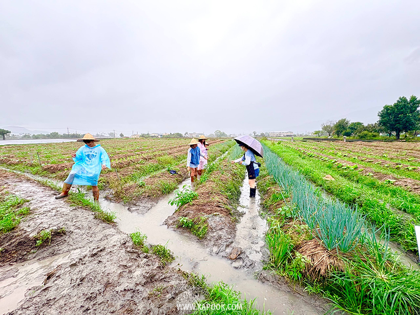 เที่ยวอี๋หลาน ไต้หวัน