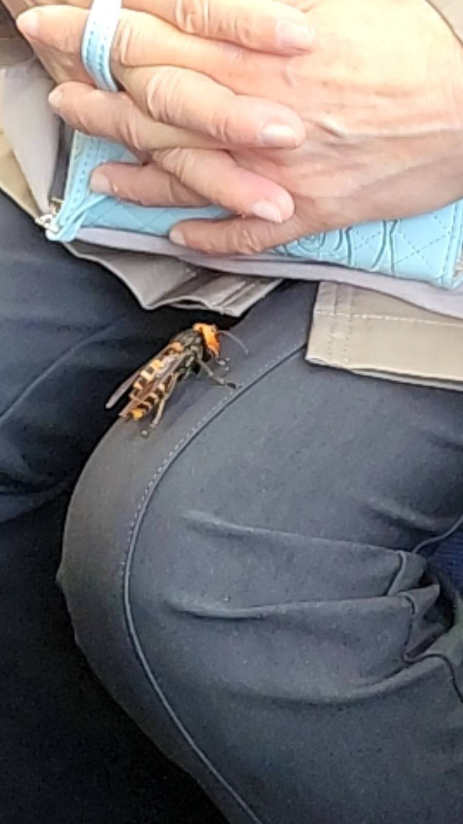 ต่อหัวเสือ