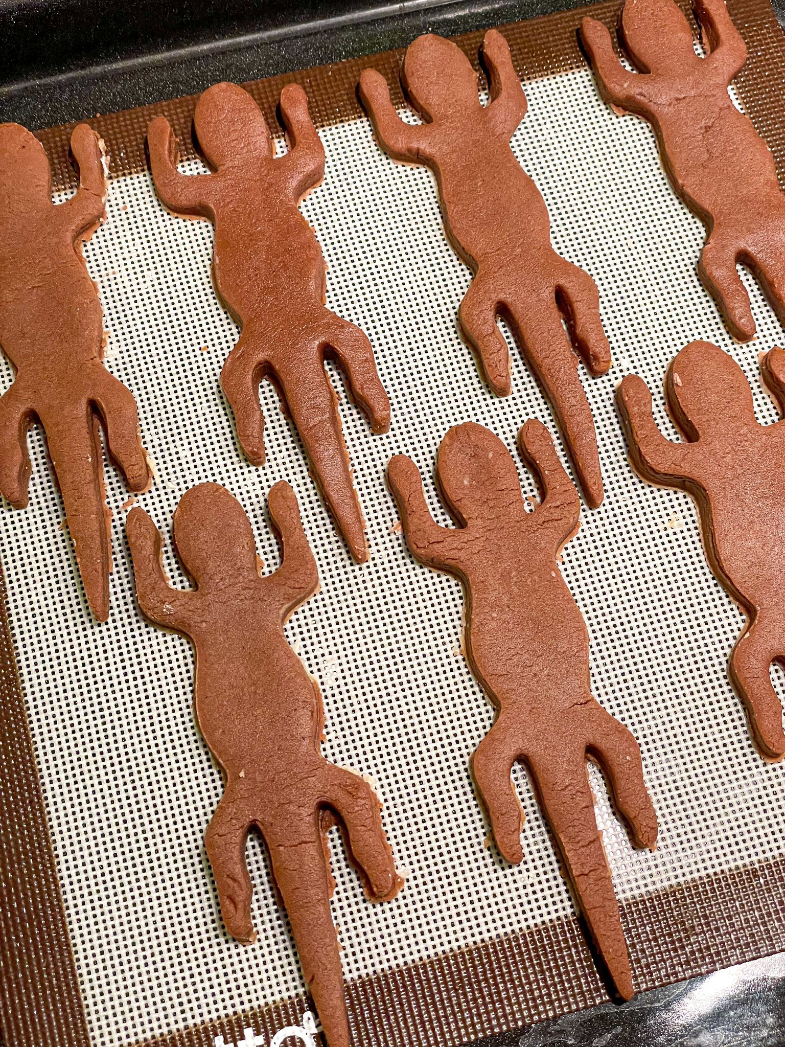 คุกกี้ซาลาแมนเดอร์