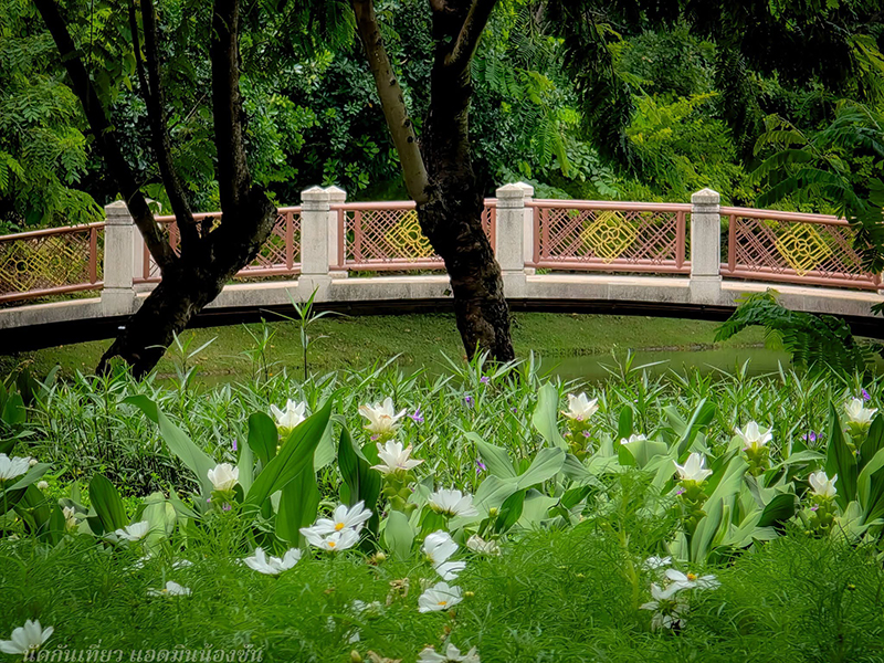 งานสีสรรพรรณไม้ เทิดไท้บรมราชินีนาถ ครั้งที่ 18 