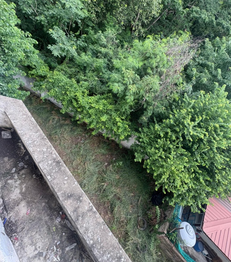 อยู่แฟลต