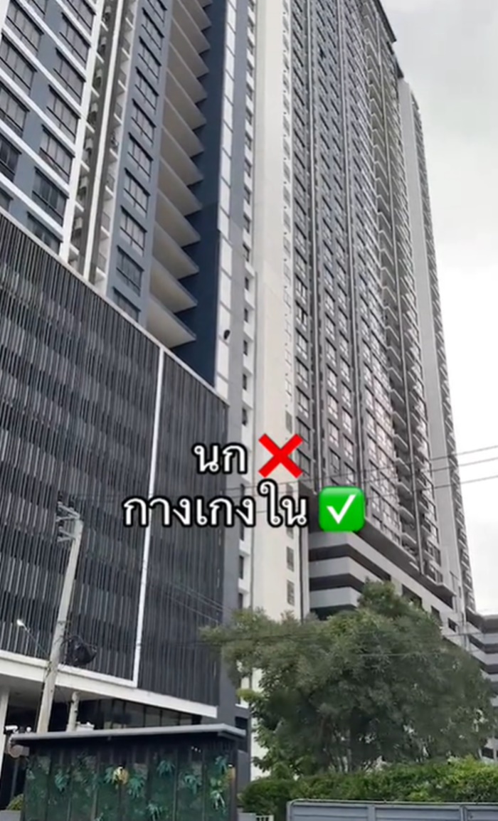 กางเกงใน