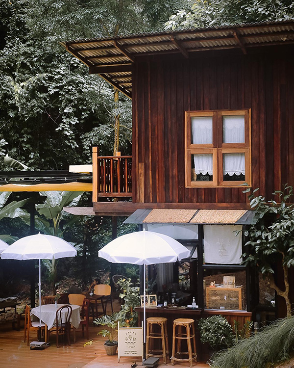 ร้านกาแฟเชียงใหม่ ธรรมชาติ