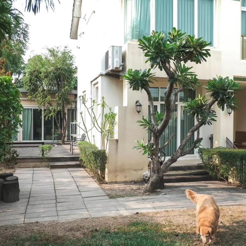 ตูน บอดี้สแลม บ้าน