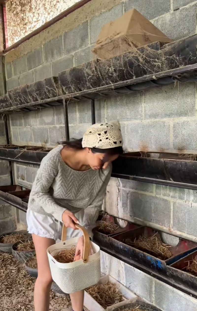 มิ้นต์ ชาลิดา