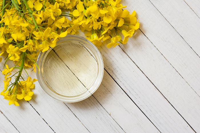 ไขมันดี