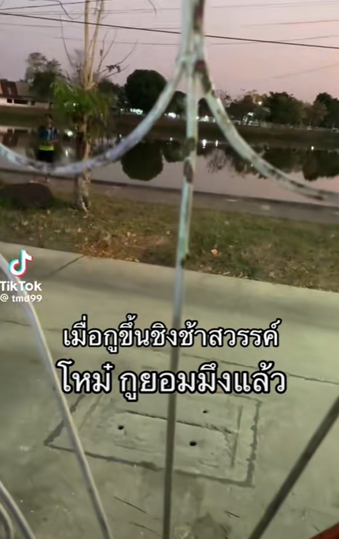 ชิงช้าสวรรค์