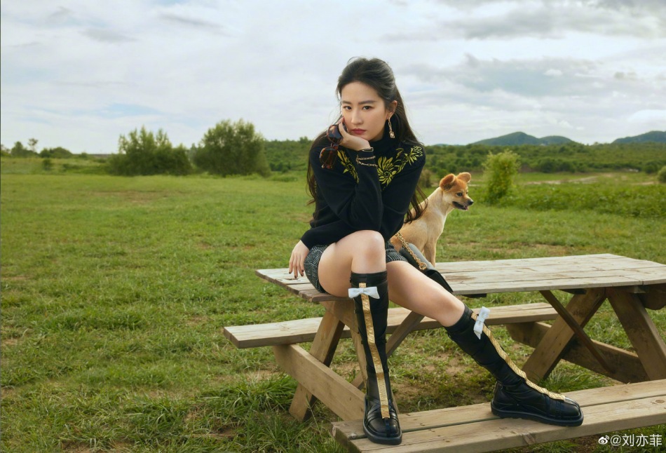 หลิวอี้เฟย liu yifei