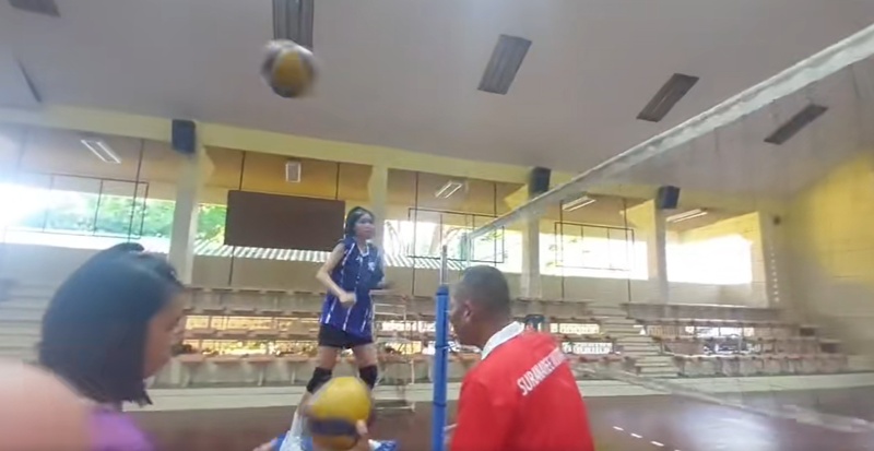 วอลเลย์บอล