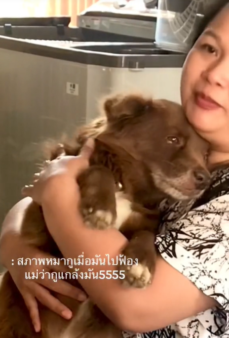 เล่นกับหมา
