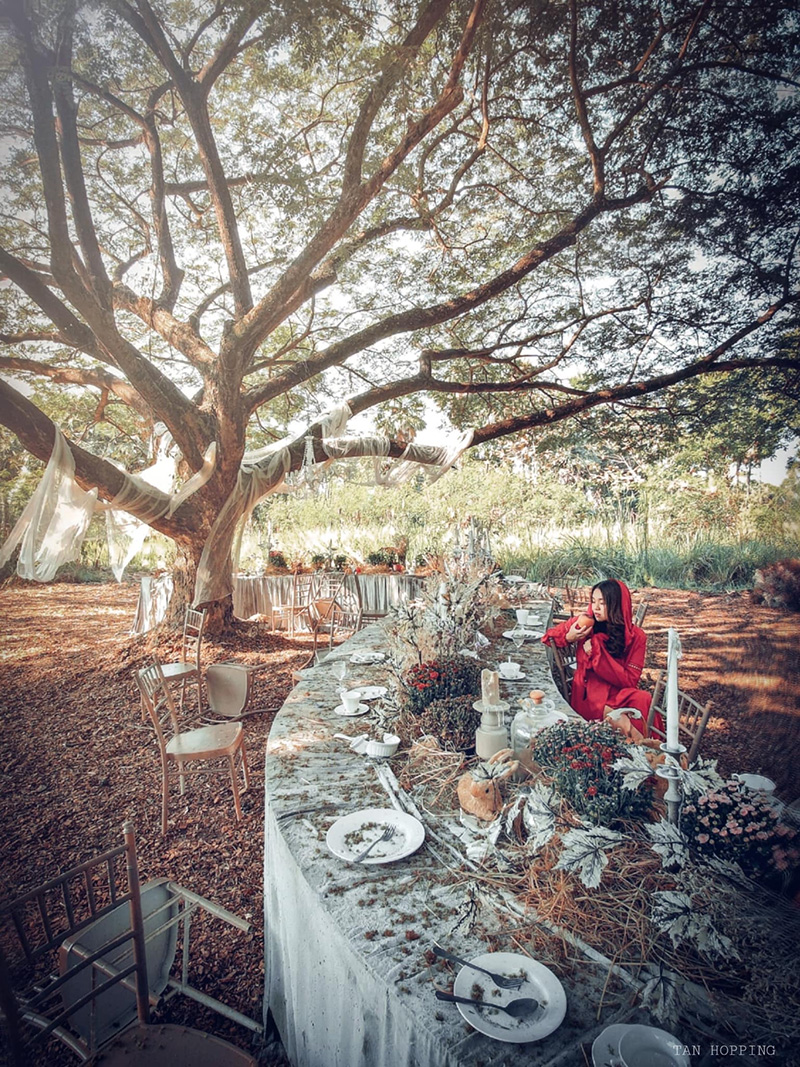 งานรักดอกราชบุรี