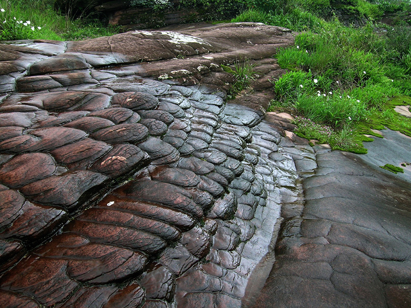 ภูหินร่องกล้า ซันแครก