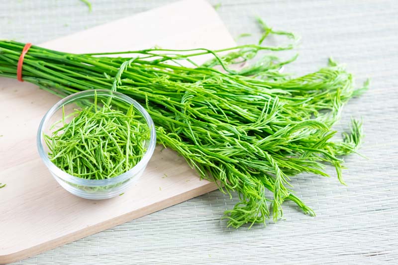 สูตรไข่ทอดชะอม