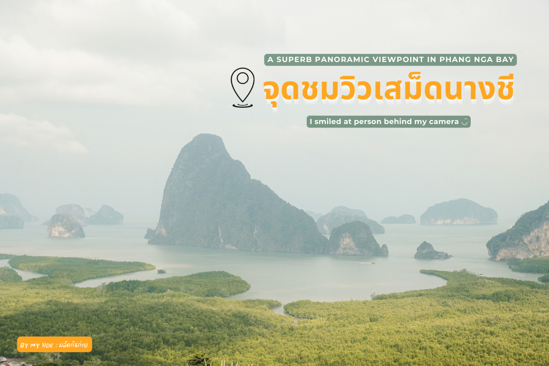 เสม็ดนางชี