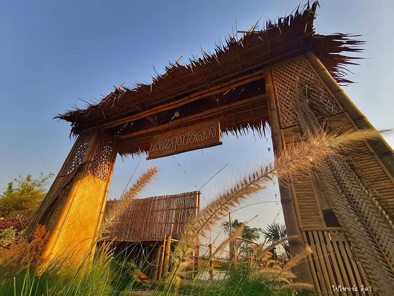ทุ่งนา เสน่หาท่าหลวง จังหวัดพระนครศรีอยุธยา
