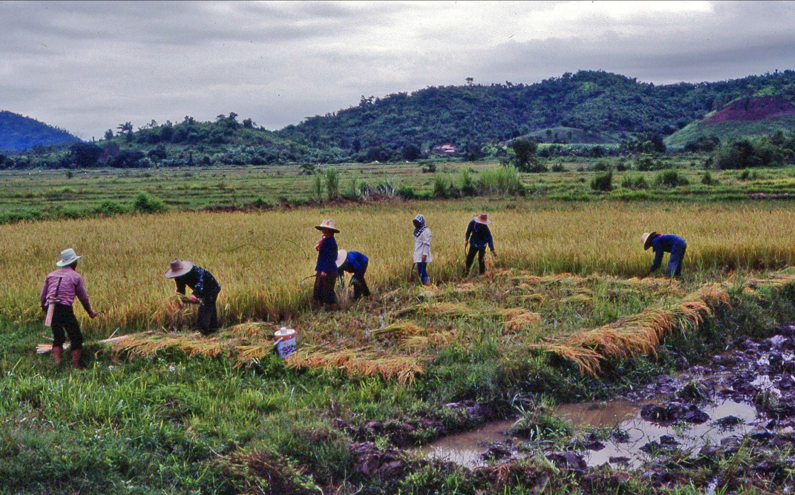 เชียงรายในอดีต