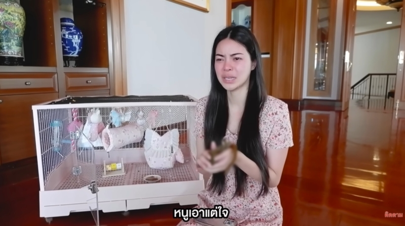 เอวา ปวรวรรณ 