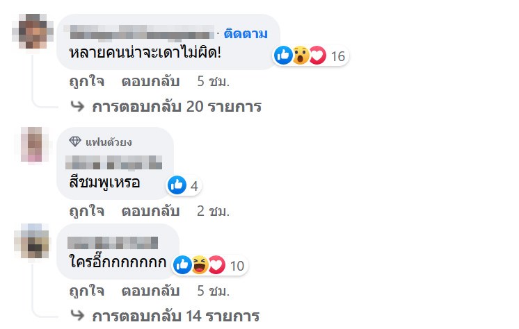 ดารารับงานกินข้าว