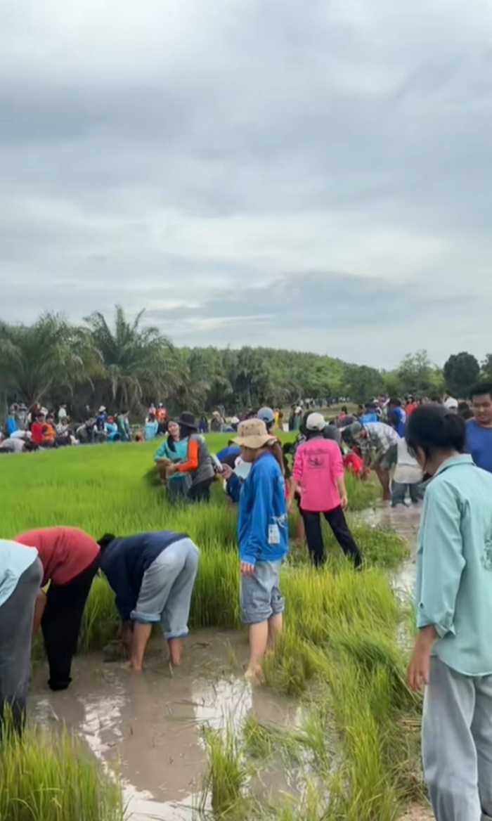 นักศึกษา