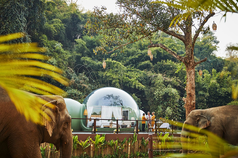 ที่เที่ยว มีช้าง