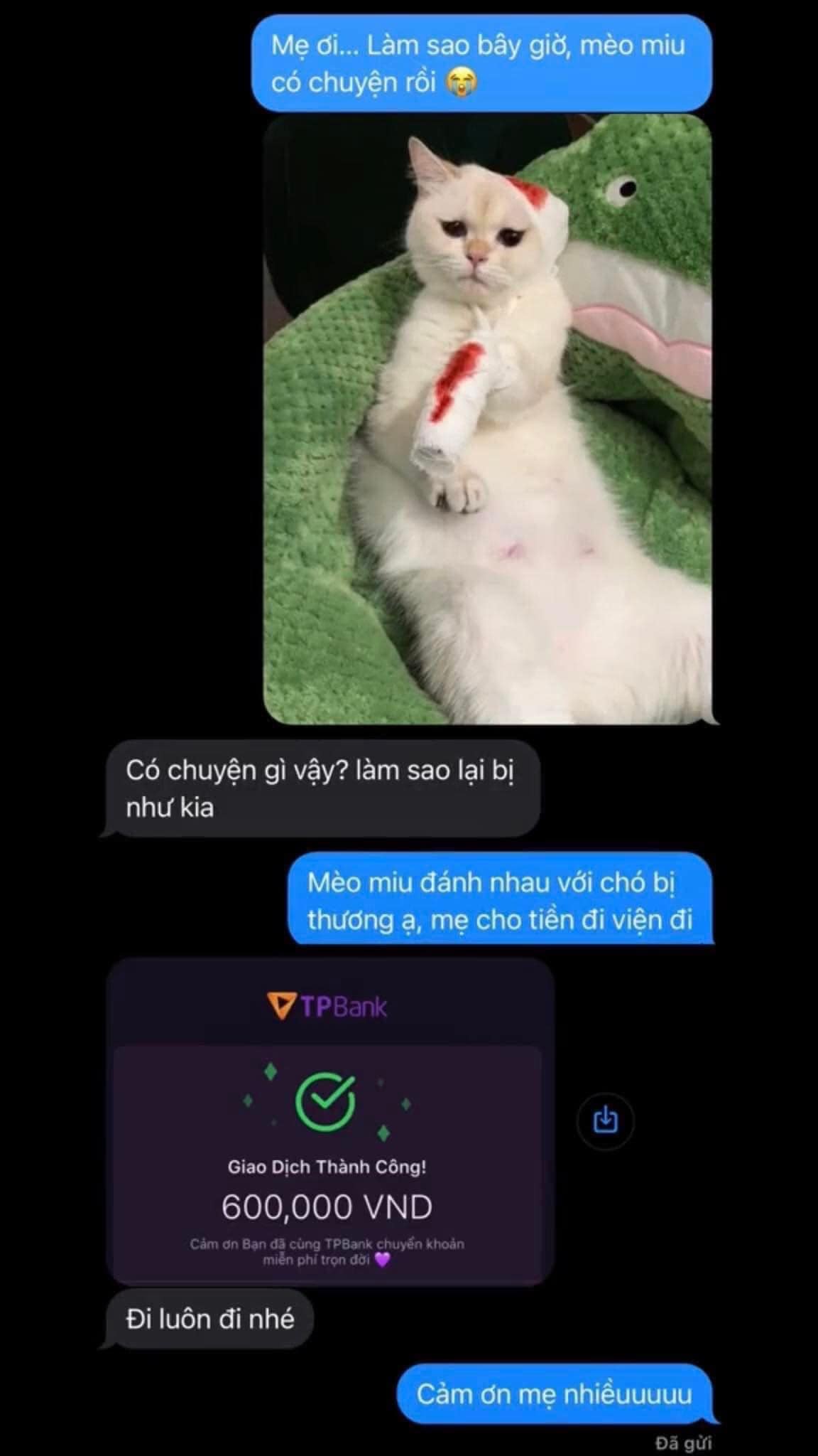 ขอเงินแม่