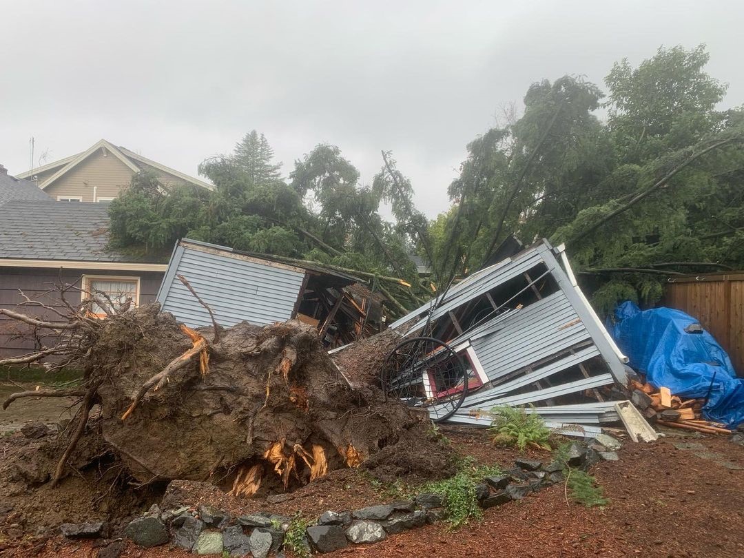 ต้นไม้ถล่มทับหลังบ้าน