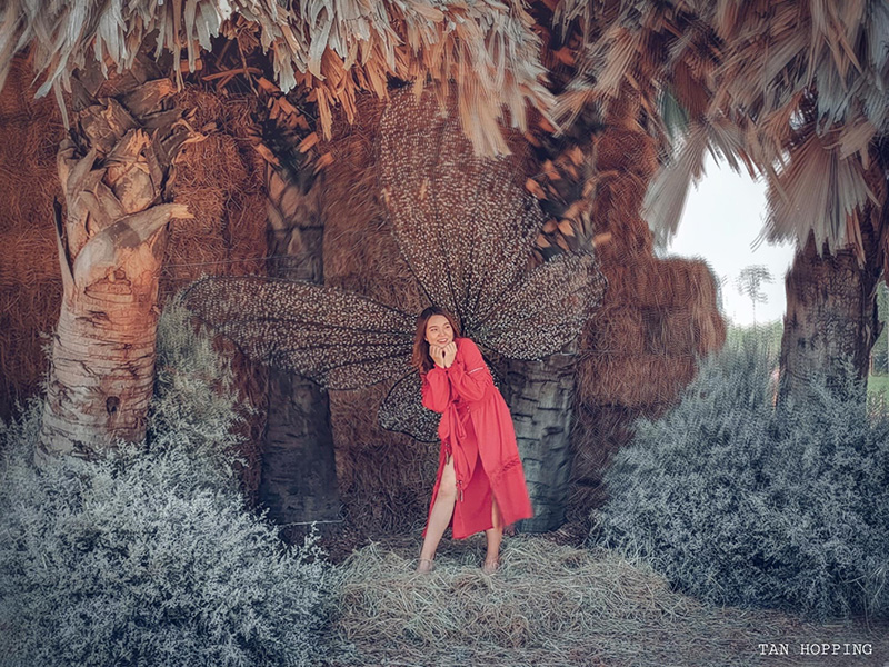 งานรักดอกราชบุรี