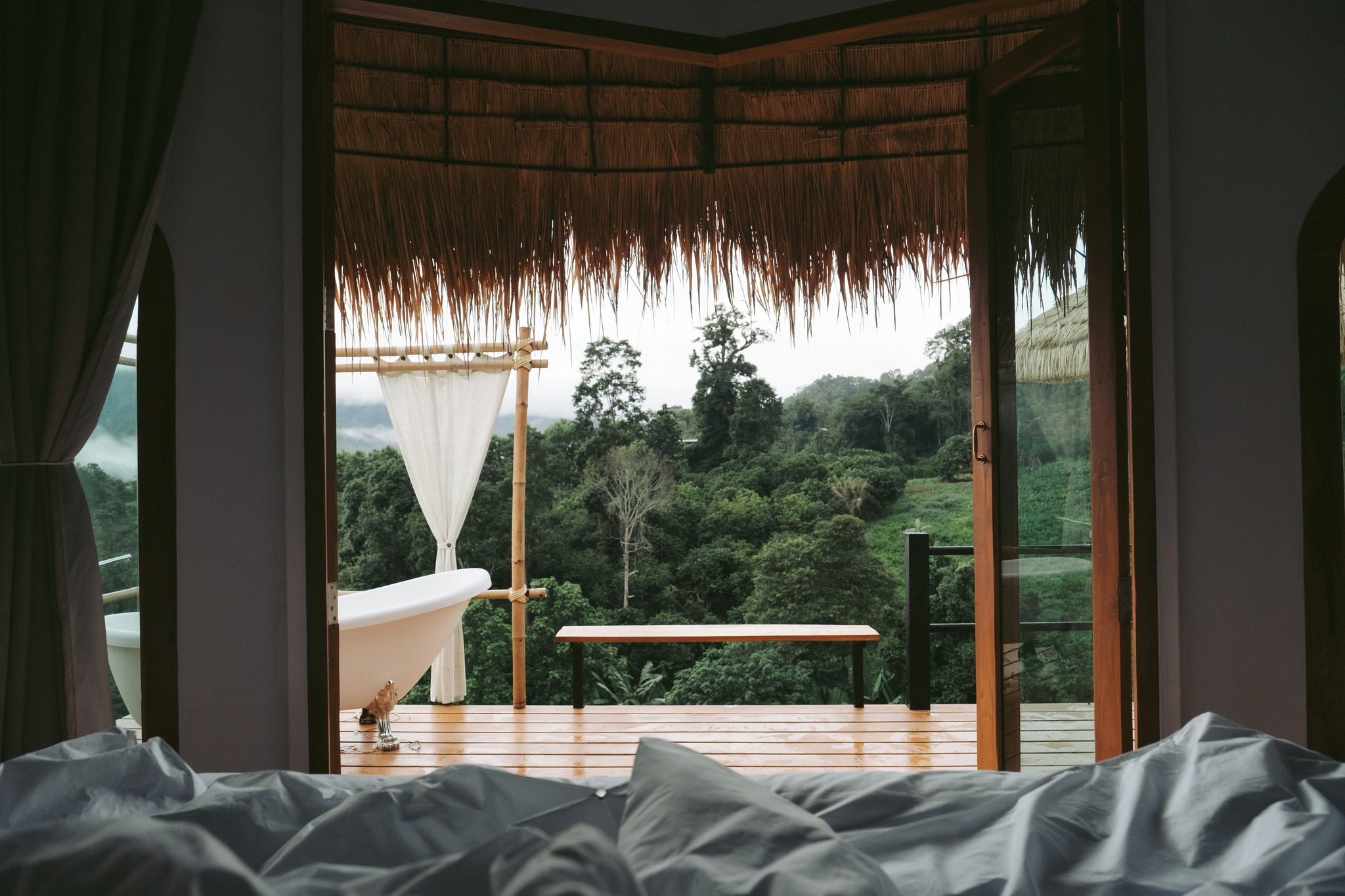 Cozy Wild