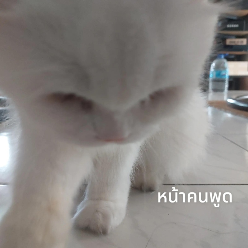 ลางาน