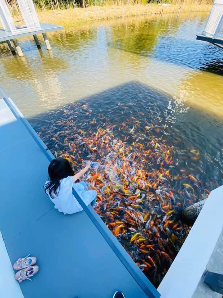 ร้านคาเฟ่สัตว์