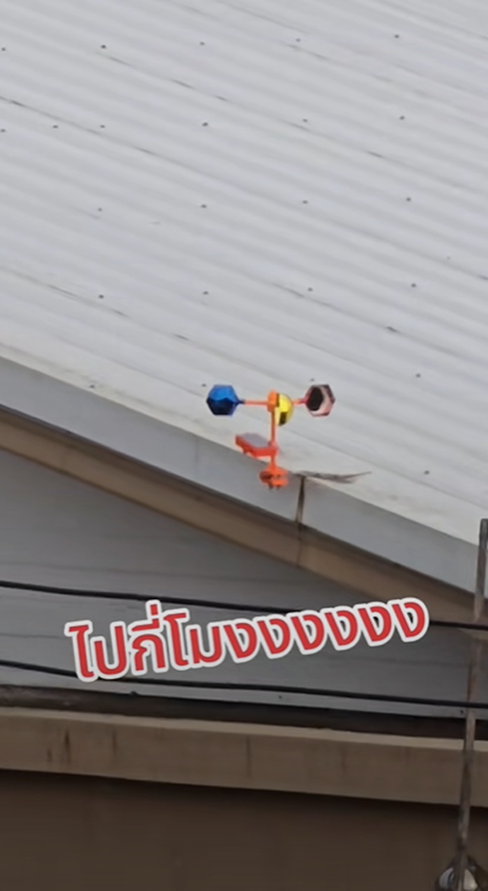 ไล่นกพิราบ