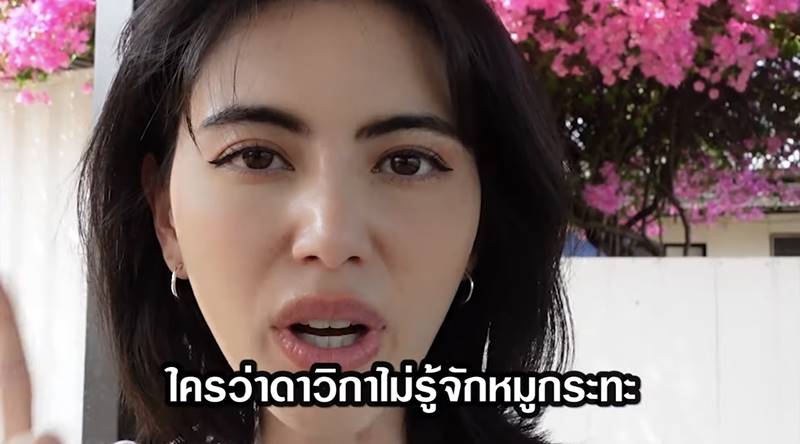 ใหม่ ดาวิกา