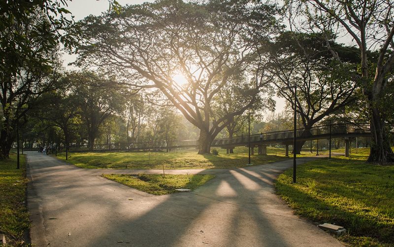 สวนเบญจกิติ