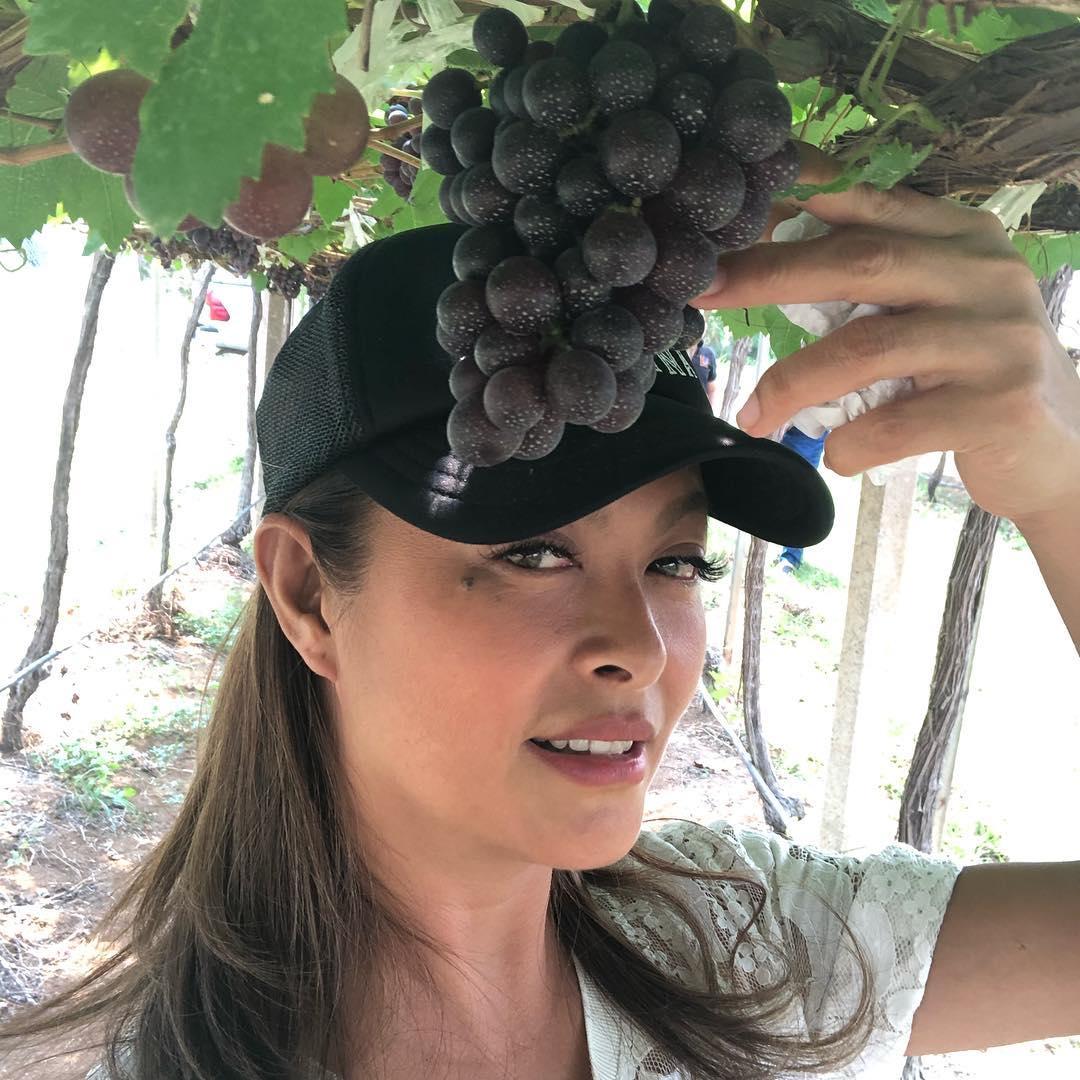 แชมเปญ เอ็กซ์