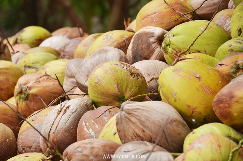 ท่องเที่ยวใหม่เมืองพัทยา