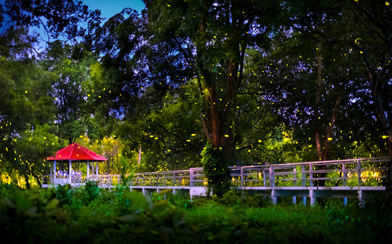 เที่ยวเดือนกรกฎาคม 66