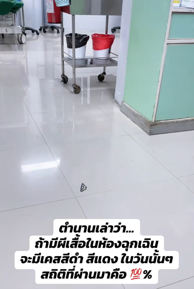 ผีเสื้อบิน