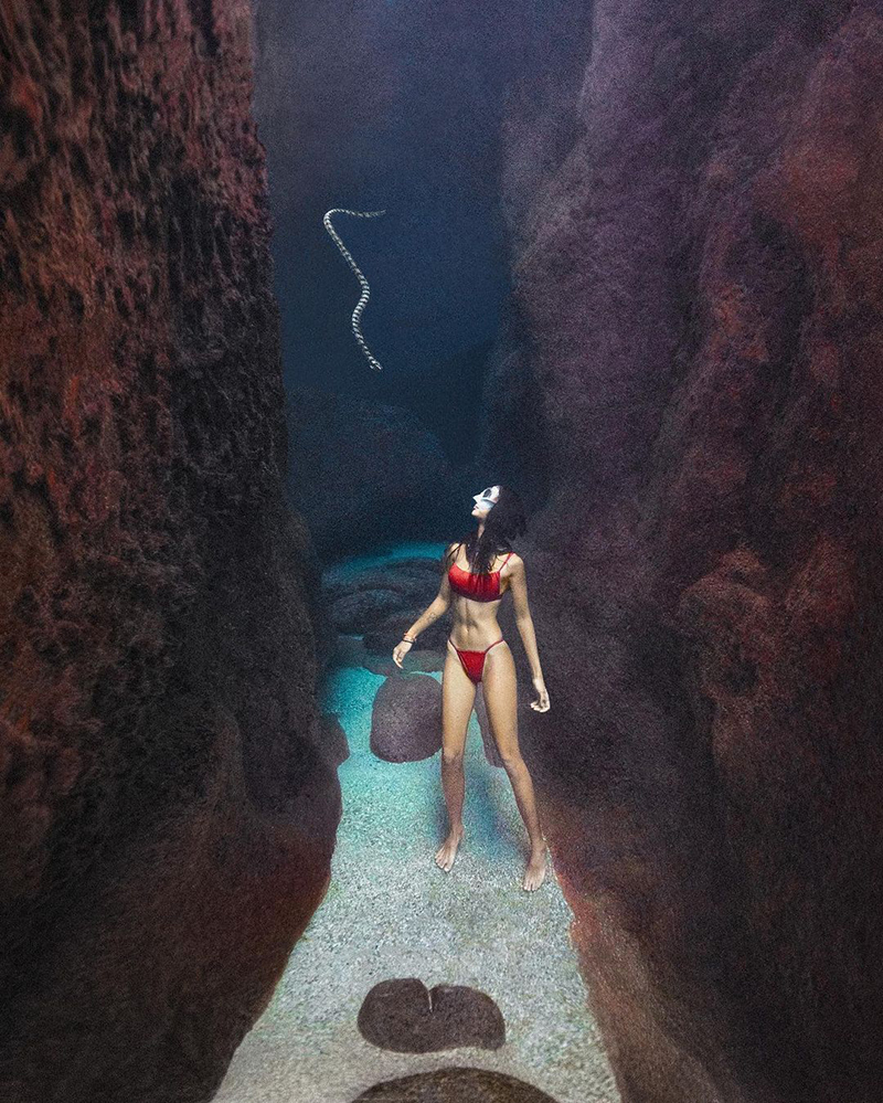 นท พนายางกูร