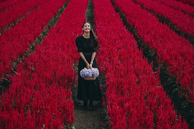 ญาญ่า อุรัสยา