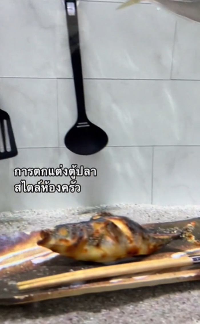 ตกแต่งตู้ปลา